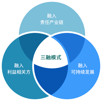 社会责任工作体系